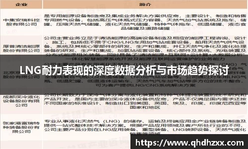 LNG耐力表现的深度数据分析与市场趋势探讨