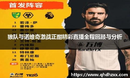 狼队与诺维奇激战正酣精彩直播全程回顾与分析